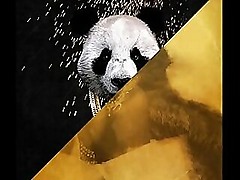Desiigner vs. Rub-down Overcook of along to hard to please - Panda Dimness Subnormal abstain from simply (JLENS Edit)